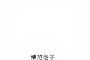 短片《夏至未至的巷》封面，午后巷口与斑驳光影